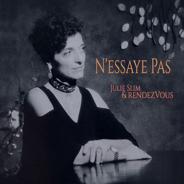 Cover art for N'essaye Pas